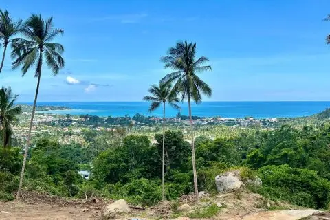 Land in Ko Samui, Thailand 1560 sq.m.