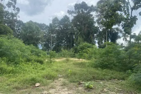 Land in Ko Samui, Thailand