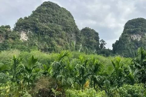 Land in Krabi, Thailand