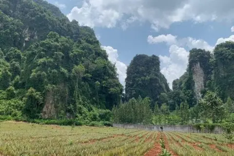 Land in Krabi, Thailand