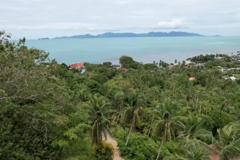 Land in Ko Samui, Thailand 872 sq.m.