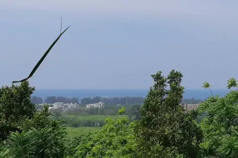 Land in Mai Khao, Thailand 8000 sq.m.