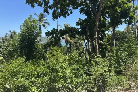Land in Surat Thani, Thailand