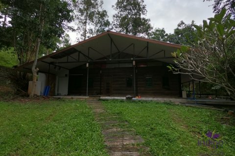 House in Mae On, Thailand 3 bedrooms № 55371