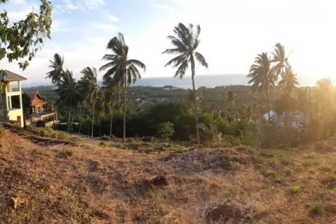 Land in Surat Thani, Thailand