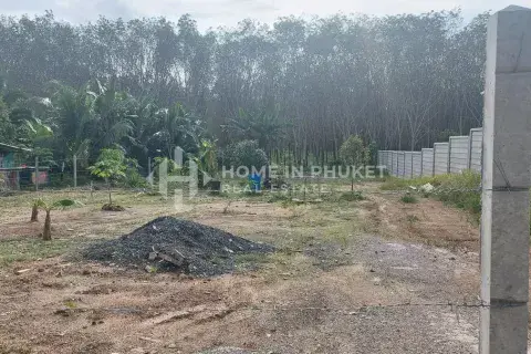 Land in Phuket, Thailand