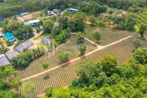 Land in Mai Khao, Thailand
