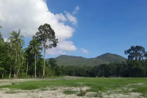 Land in Surat Thani, Thailand