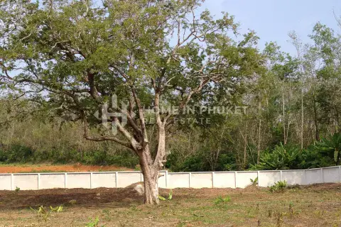 Land in Rawai, Thailand